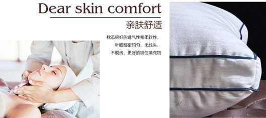 紫羅蘭生機立體枕 健康睡眠，從此高枕無憂